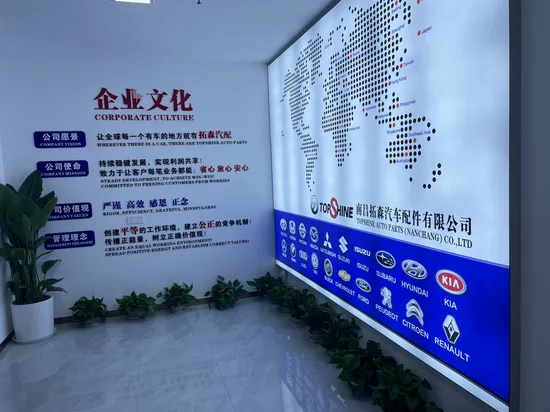 6000022807 Autoaufhängungsteile Spurstangenkopf für Peugeot